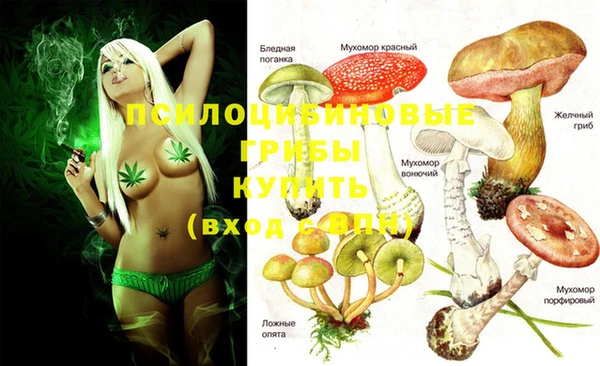 круглые Алексин