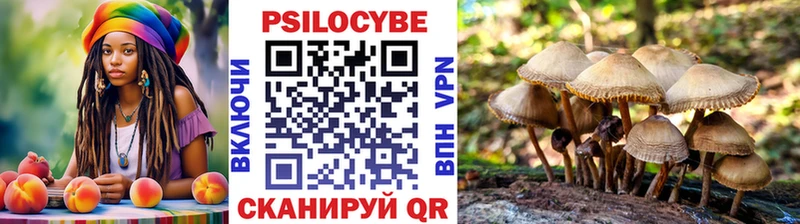 Галлюциногенные грибы Psilocybe  как найти закладки  Алушта 